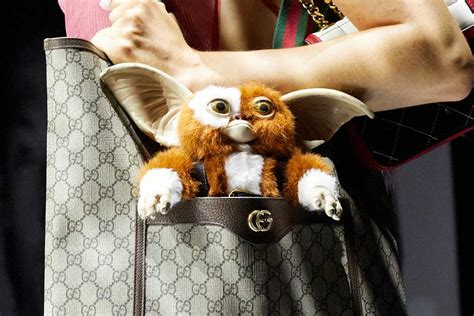 gucci gremlins|Meer.